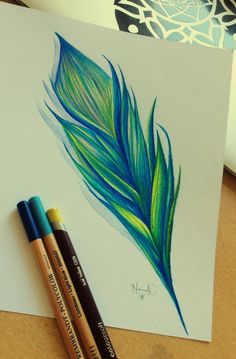 two pencils sitting next to a drawing of a green feather on white paper with blue and yellow highlights