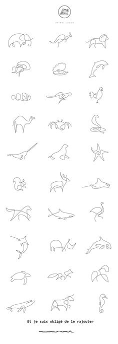 the different types of animals that can be seen in this drawing book, including dolphins and other