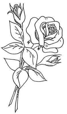 a black and white drawing of a rose