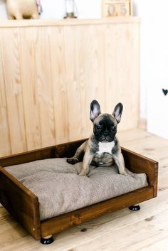 a small dog laying on top of a wooden bed