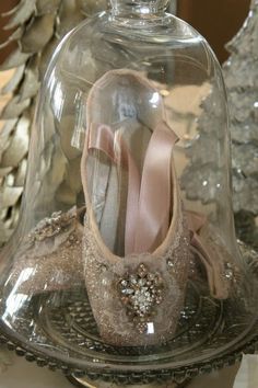 a pair of shoes under a glass clochet