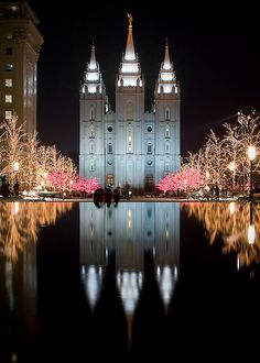 a large cathedral lit up at night with lights reflecting in the water