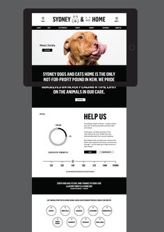 the homepage for sydney's pet rescue website is shown in black and white