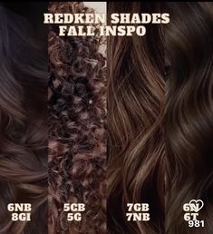 Carmel Redken Toner Formula, Shades Eq Level 7 Formulas, Redken Shades Eq Mushroom Brown Formula, Light Brown Shades Eq Formula, Brown Hair Color Chart, Hair Levels, Hair Foils, Redken Shades