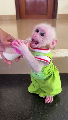 a small monkey in a green outfit is being fed milk from a person's hand