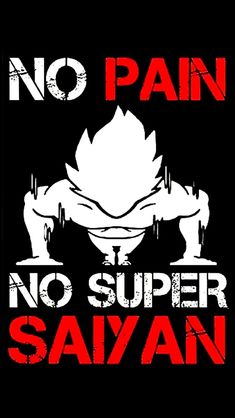 a sign that says no pain, no super saiyan