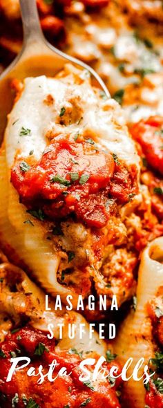 lasagna stuffed pasta shells with sauce and parmesan cheese