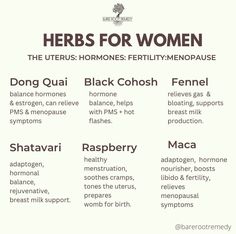 Herbs For Women, Holistic Womens Health, Hormone Nutrition, Herbal Remedies Recipes, Medical Herbs, Healthy Hormones, Menstrual Health, Feminine Health, Natural Healing Remedies