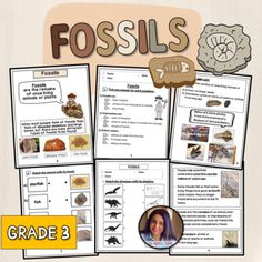 the fossil worksheet for grade 3 includes pictures and information about different types of animals