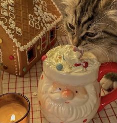 a cat sniffing at a mug with whipped cream on it and a gingerbread house in the background