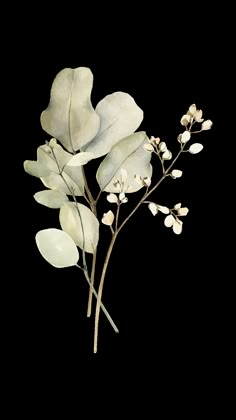 watercolor painting of white flowers and leaves