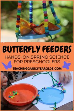 butterfly feeders for preschoolers with text overlay