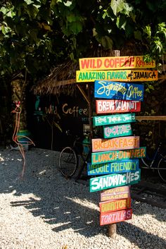 a pole with many signs on it in front of a tree and building that says wild coffee