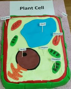 the plant cell is made up of cake and paper with pictures on it, including carrots, celery, watermelon, and other plants