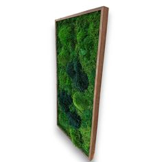 a moss covered wall hanging on the side of a wooden frame with wood trimmings