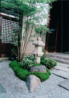 a small garden with rocks and grass