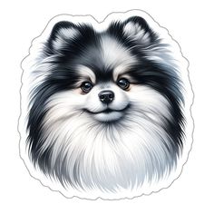 a black and white pomeranian dog sticker on a white background with the face of a dog