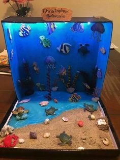 an aquarium made out of sand and shells