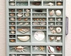 there are many sea shells on the shelf in this room, and it's easy to put together