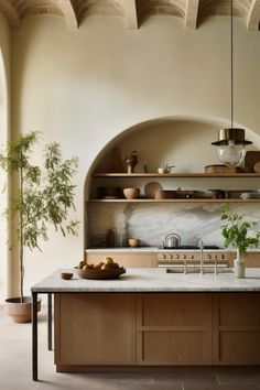 a kitchen with an oven, counter top and potted plant in the center area