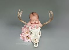 a baby sleeping on top of a cow skull with flowers in it's antlers