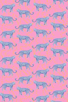 Cosmic Cheetah Traditional Wallpaper Wallpaper Pink / Sample Katie Kime Wallpaper, Cheetah Wallpaper, Katie Kime, Wallpaper Colorful, Quality Wallpaper, Preppy Wallpaper, Peel Stick Wallpaper, Tea Towel Set, Contrast Piping