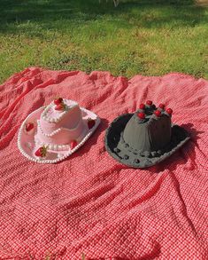 two cakes sitting on top of a blanket in the middle of a field next to each other