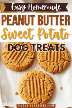 three peanut butter sweet potato dog treats on parchment paper with text overlay that reads easy homemade peanut butter sweet potato dog treats