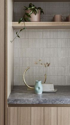 a shelf with some plants and vases on top of it in front of a tile backsplash