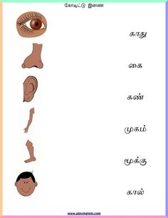 an image of different types of eyes and body parts in the language for children to learn