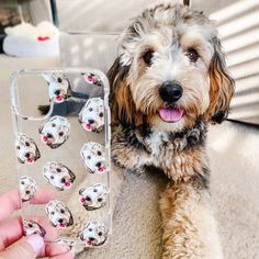 a dog laying on the floor next to a cell phone case