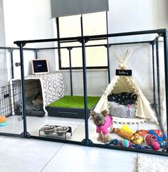 an indoor dog house with two dogs in it and one is inside the caged area