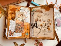 an open book with pictures and butterflies on it