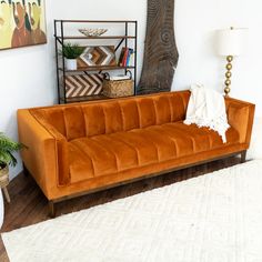 an orange velvet couch in a living room with white rug and potted plant next to it