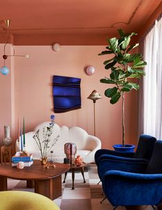 a living room filled with furniture and a potted plant on top of a table