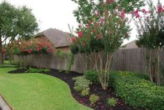 this is a nice backyard with flowers and trees