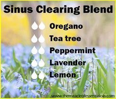 Sinus Clearing, Essential Oil Diffuser Recipes, Oil Diffuser Recipes