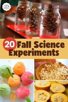 some pine cones and oranges are in jars with the words 20 fall science experiments