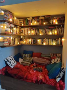 a bed with lots of books on the shelves above it and lights hanging from the ceiling