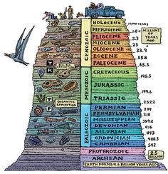 an illustrated diagram of the layers of human life