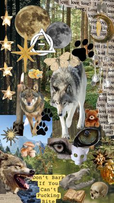 collage with wolfs, stars, moon and other things in the background that are mixed together