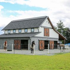 two horses are standing in front of a barn