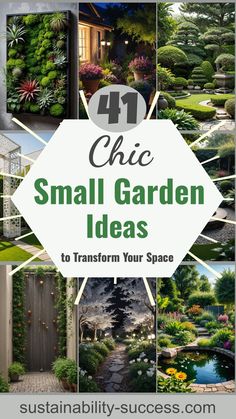 small garden ideas to transform your space