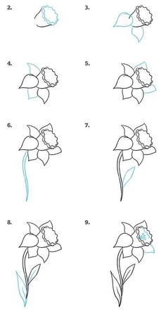 how to draw flowers step by step