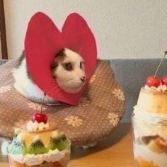 a cat with a heart shaped decoration on its head sitting next to two desserts