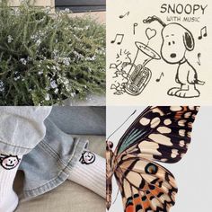 a butterfly sitting on top of a plant next to a pair of socks and a t - shirt