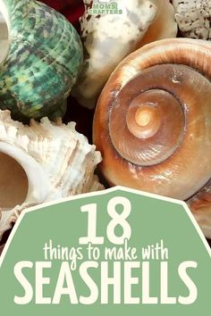 Things To Make With Seashells, Selling Crafts, Art Coquillage, Shells Diy, Arts And Crafts Furniture, Shell Crafts Diy