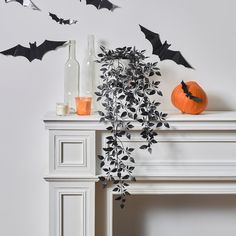 a white mantle topped with a potted plant next to a bottle filled with bats