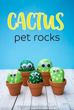 Cactus Rocks, Profitable Crafts, Pet Projects, Googly Eyes, Pet Rocks, Diy Activities, Crafts To Make And Sell, Camping Crafts, Childrens Crafts