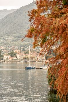 boats are docked in the water next to some hills and trees with red leaves on them